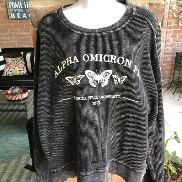 ALPHA OMICRON PI Gray Weathered Ribbed Sweatshirt Large FSU - Picture 3 of 9